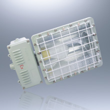 BWD96系列防爆高效节能无极灯