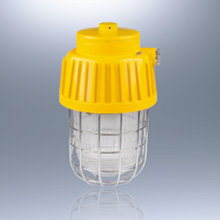 BPC8730系列防爆平台灯(ⅡC)