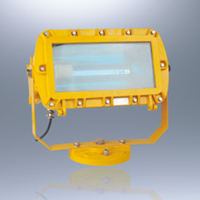 BFC8100系列外场防爆强光泛光灯(ⅡC)