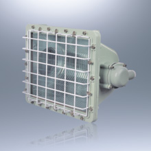 BTD51系列防爆泛光灯(分体式)(ⅡB ⅡC)