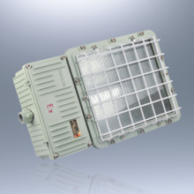 BTD52系列防爆泛光灯(一体式)(ⅡB ⅡC)