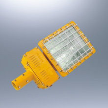 FAM-E系列防水防尘马路灯