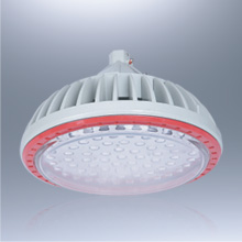 BLD88(BZD118)系列防爆免维护LED节能灯