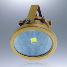 BLD76系列防爆免维护LED节能灯